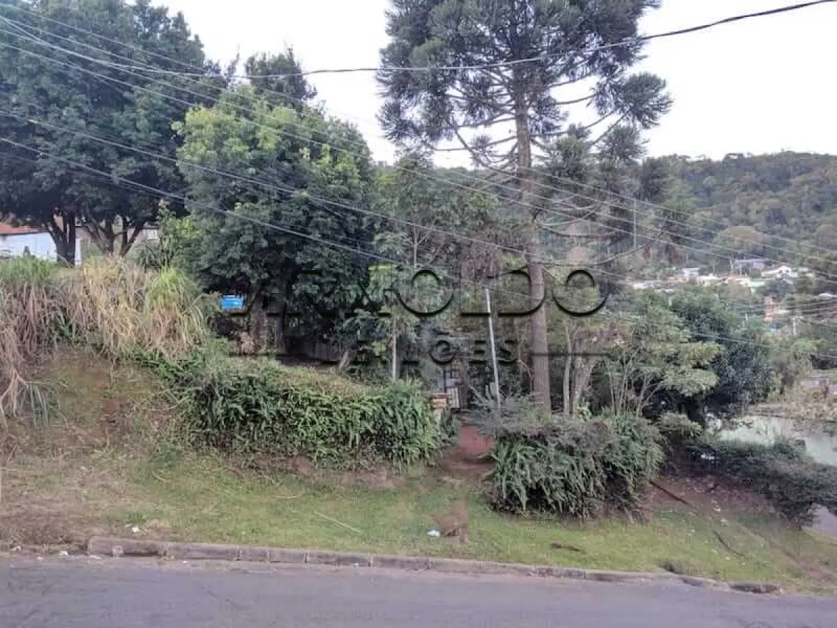 LOTE 001