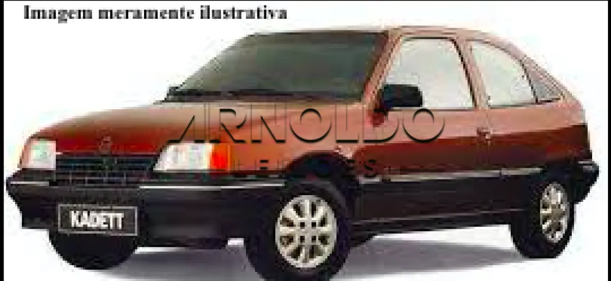 LOTE 12