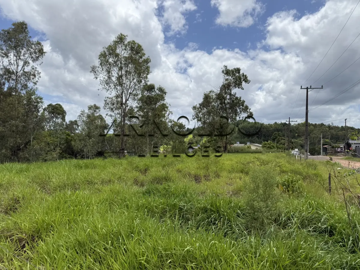 LOTE 001 - FRAÇÃO IDEAL DO IMÓVEL DE MATRÍCULA 35.303 DO REGISTRO DE IMÓVEIS DE SAPIRANGA, RS, EQUIVALENTE A 2.190M2, DE UM TODO MAIOR DE 4.968,50M2.
