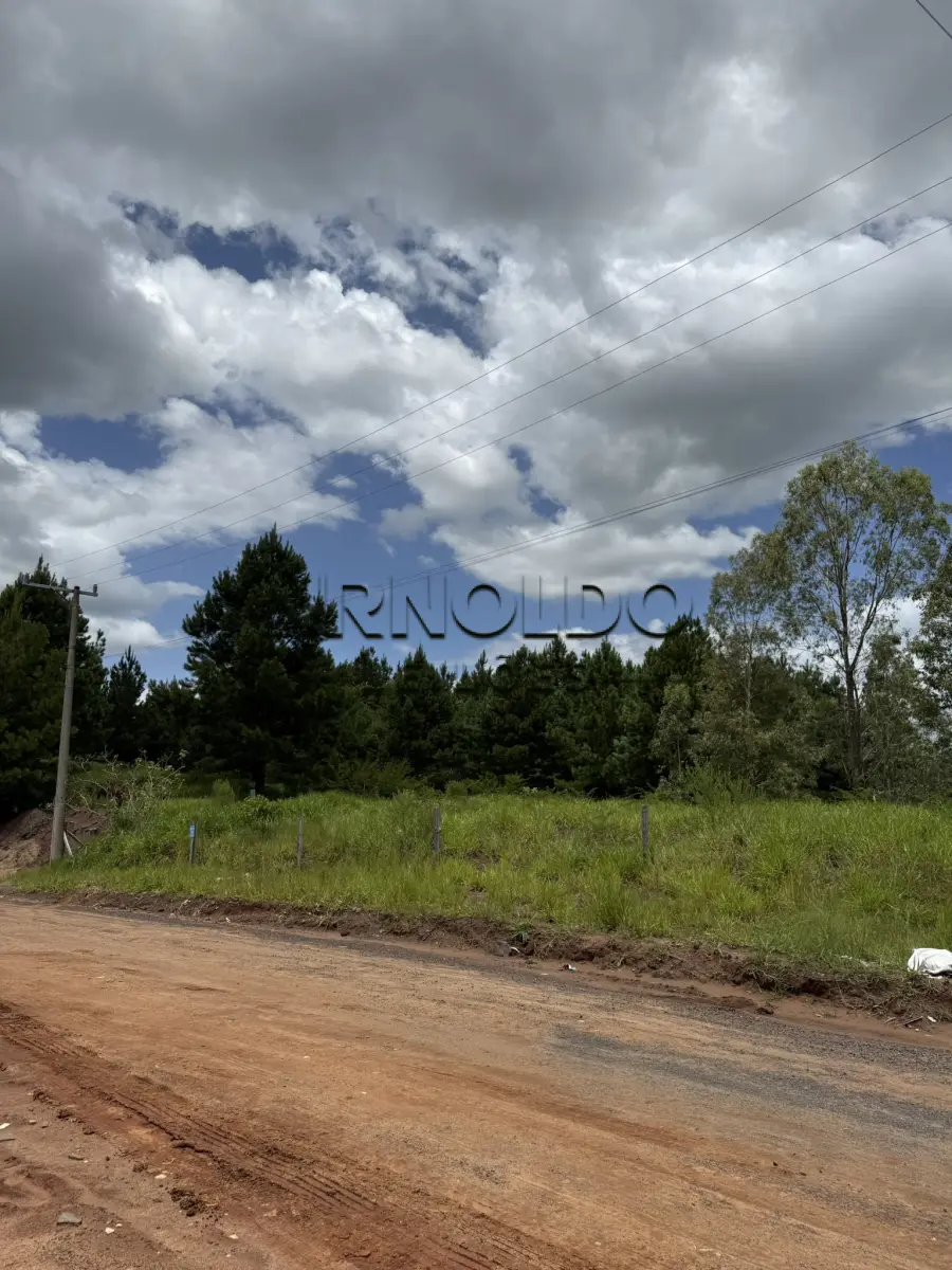 LOTE 001 - FRAÇÃO IDEAL DO IMÓVEL DE MATRÍCULA 35.303 DO REGISTRO DE IMÓVEIS DE SAPIRANGA, RS, EQUIVALENTE A 2.190M2, DE UM TODO MAIOR DE 4.968,50M2.