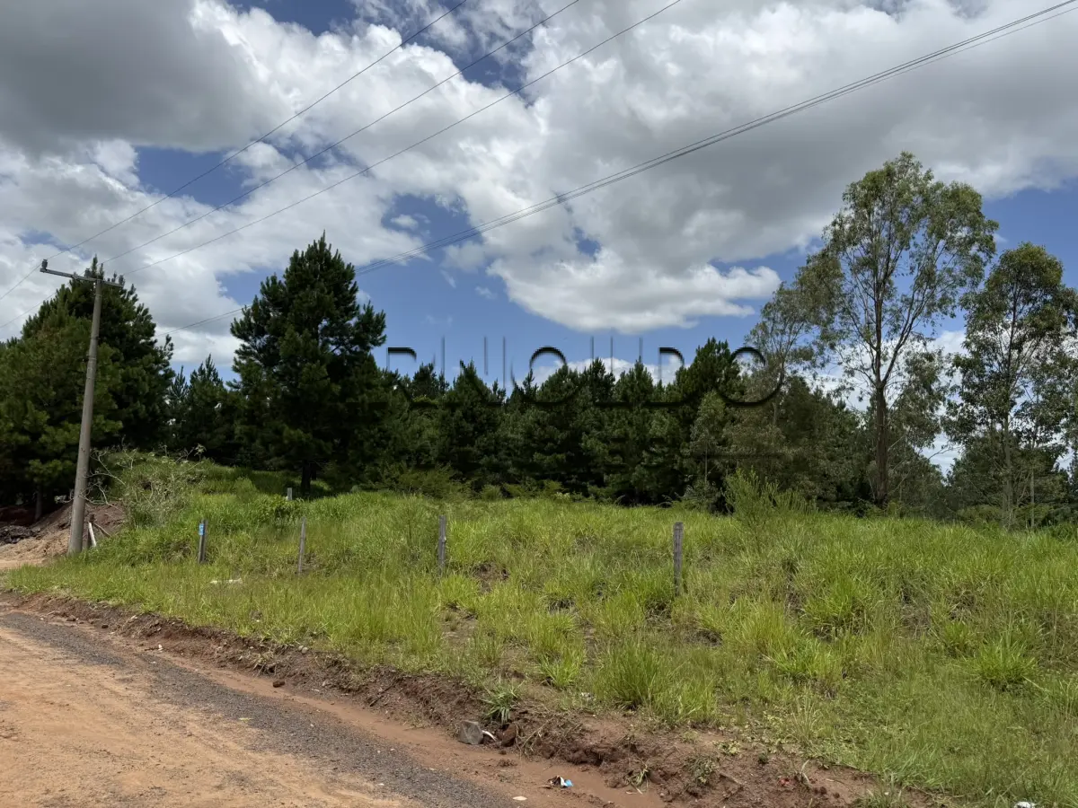 LOTE 001 - FRAÇÃO IDEAL DO IMÓVEL DE MATRÍCULA 35.303 DO REGISTRO DE IMÓVEIS DE SAPIRANGA, RS, EQUIVALENTE A 2.190M2, DE UM TODO MAIOR DE 4.968,50M2.