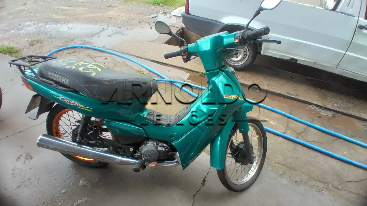 LOTE 0065