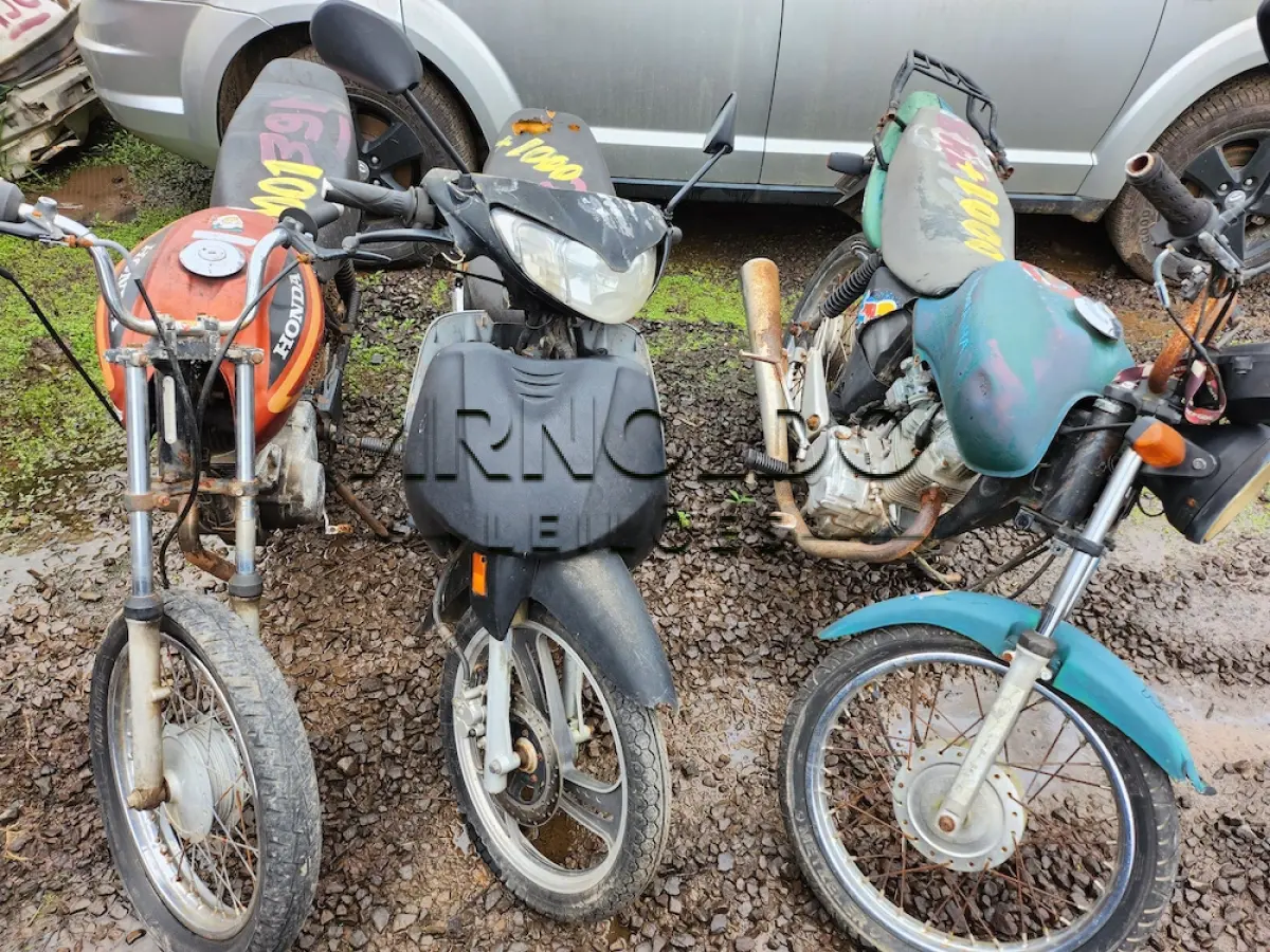 LOTE 0001