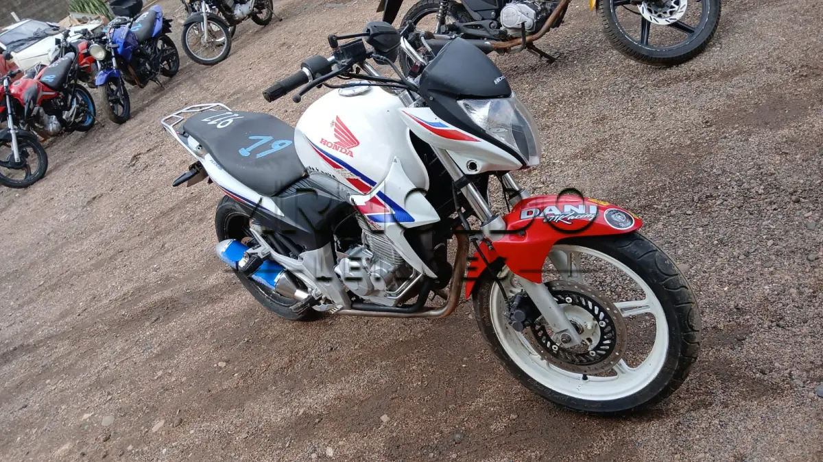 LOTE 0019