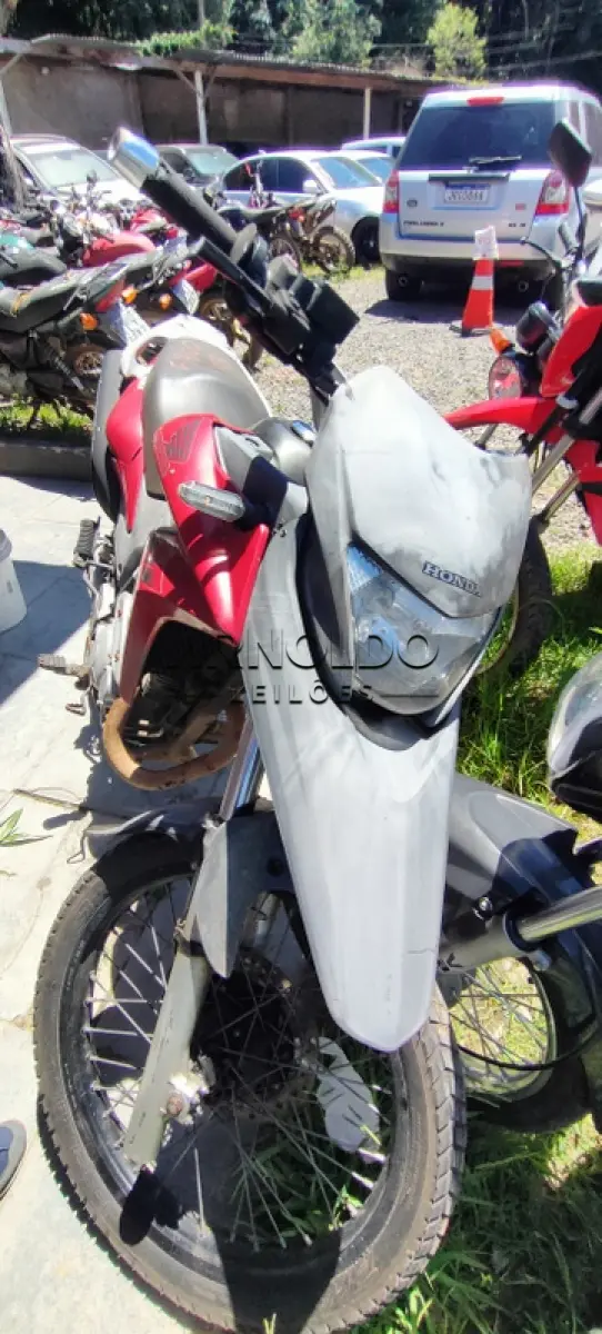 LOTE 0170
