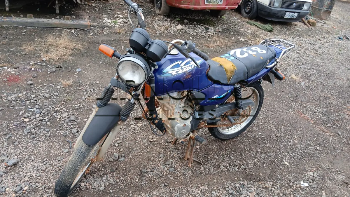 LOTE 0011
