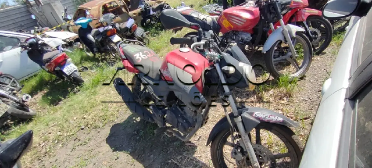 LOTE 0106