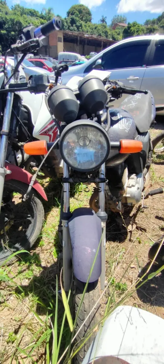LOTE 0159
