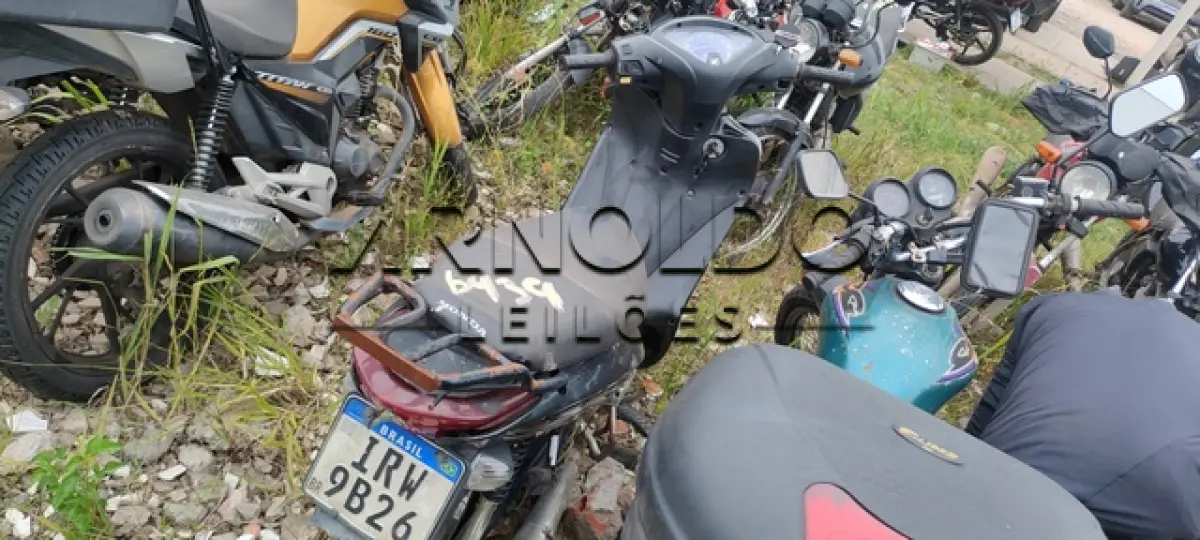 LOTE 0217