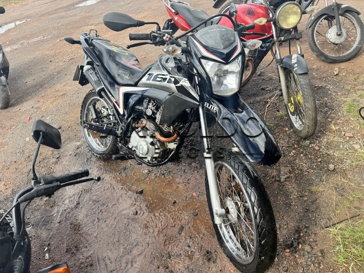 LOTE 0055