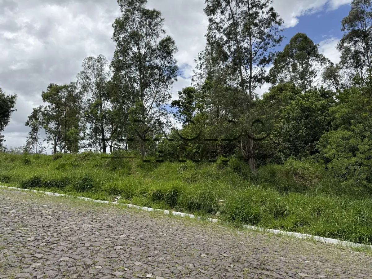 LOTE 001 - FRAÇÃO IDEAL DO IMÓVEL DE MATRÍCULA 35.303 DO REGISTRO DE IMÓVEIS DE SAPIRANGA, RS, EQUIVALENTE A 2.190M2, DE UM TODO MAIOR DE 4.968,50M2.