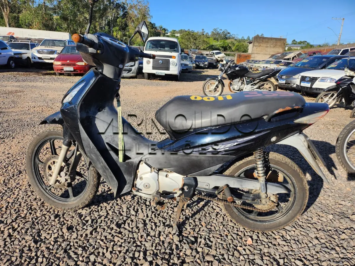 LOTE 0011