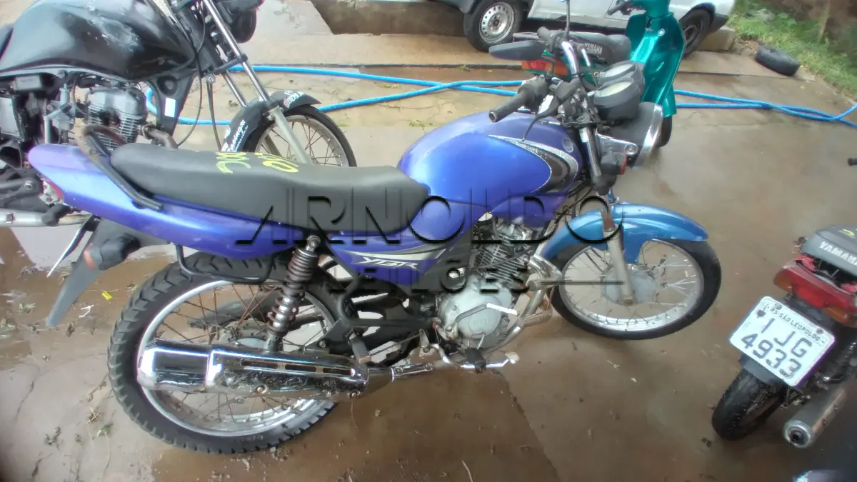 LOTE 0060