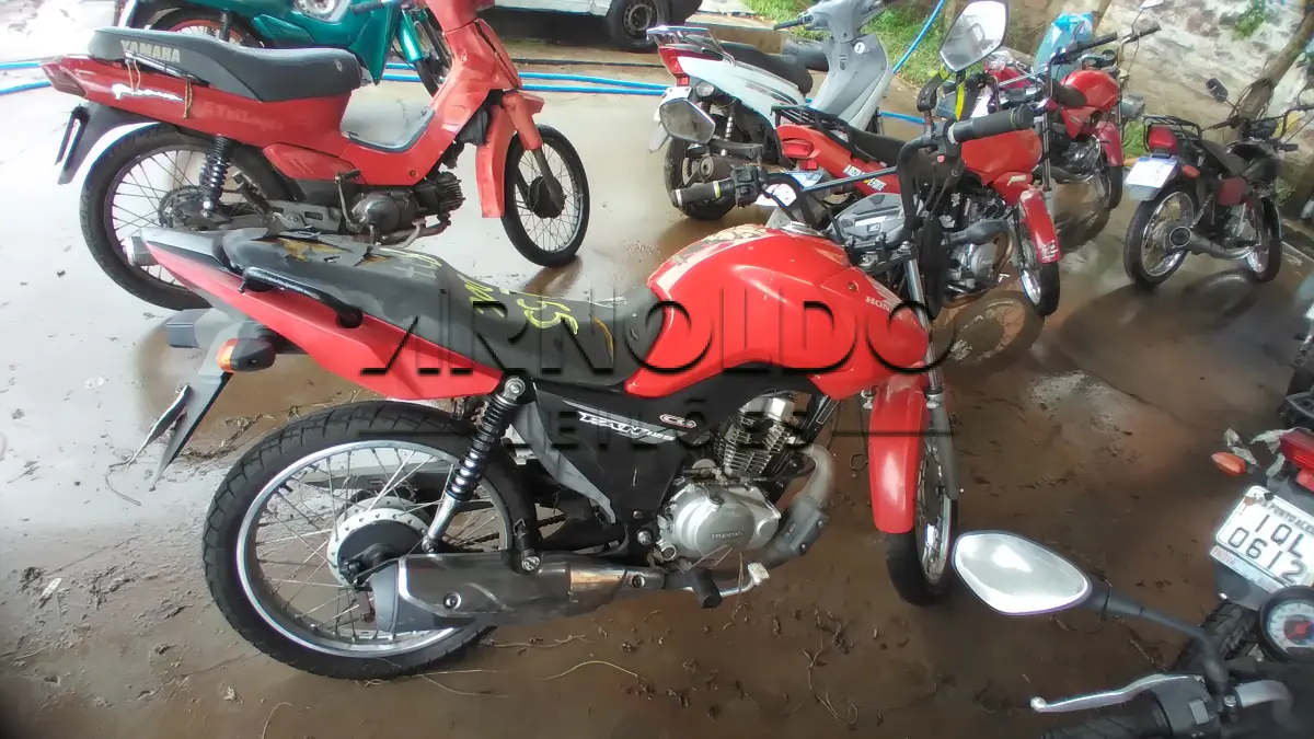 LOTE 0055