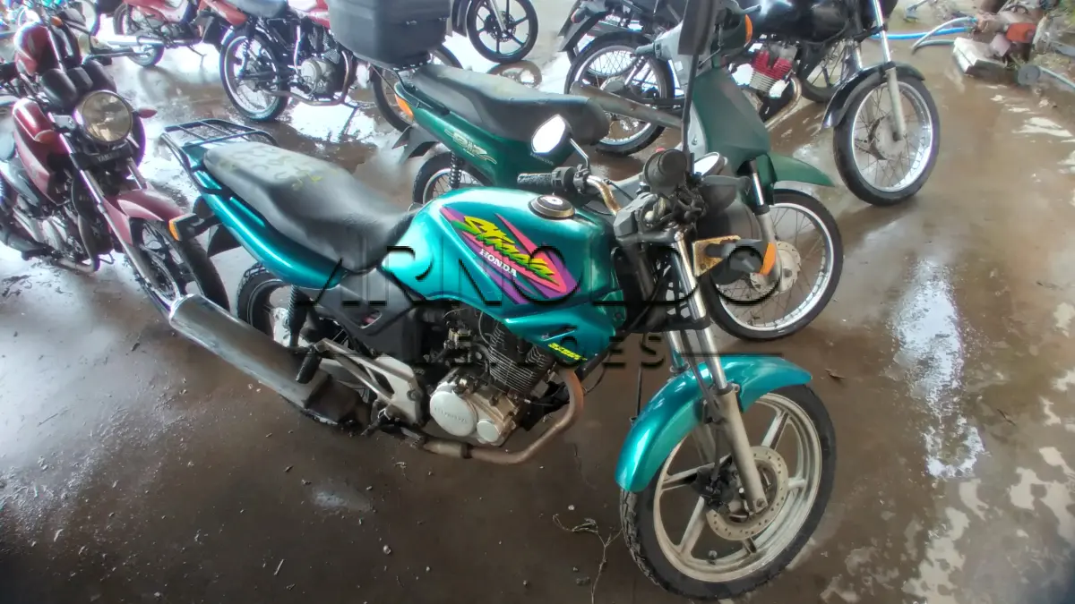 LOTE 0075