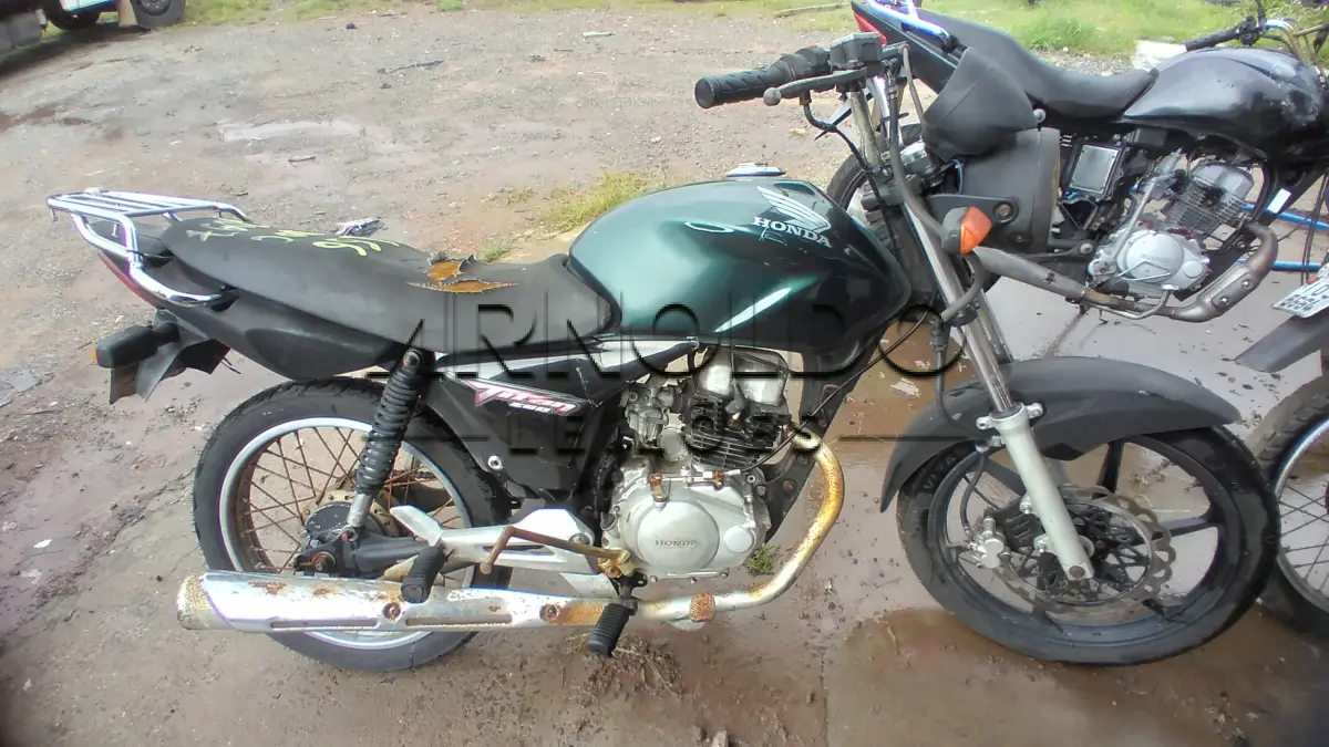 LOTE 0066
