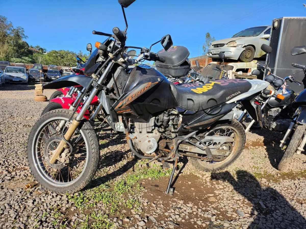 LOTE 0004