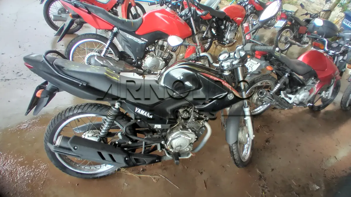 LOTE 0061