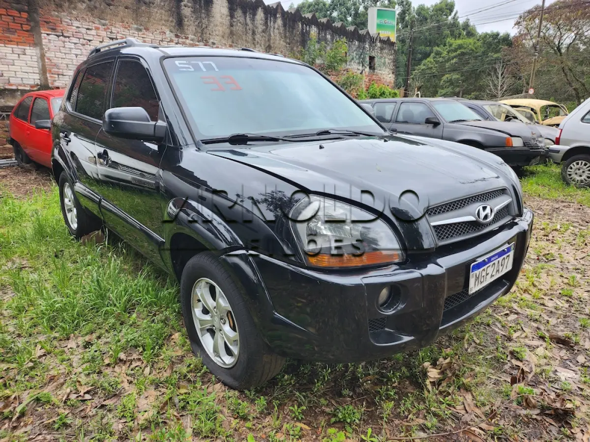 LOTE 0033