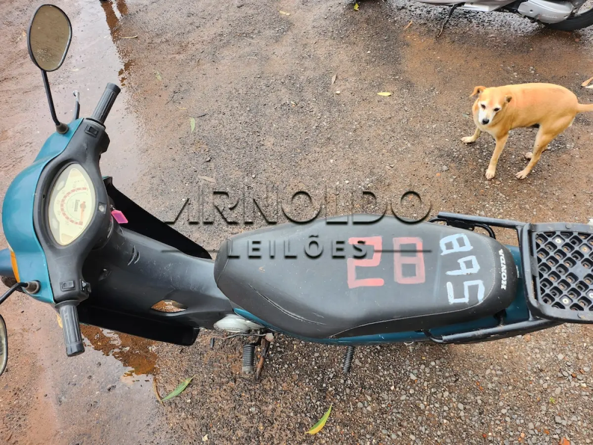 LOTE 0028
