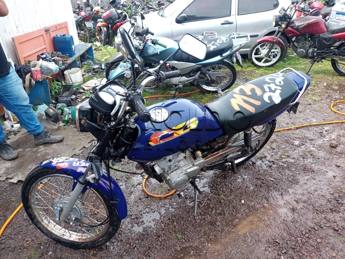 LOTE 0113