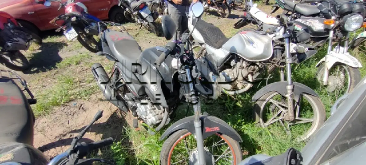 LOTE 0116