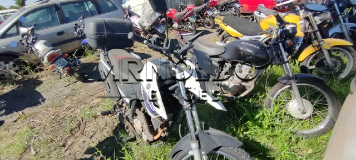LOTE 0117