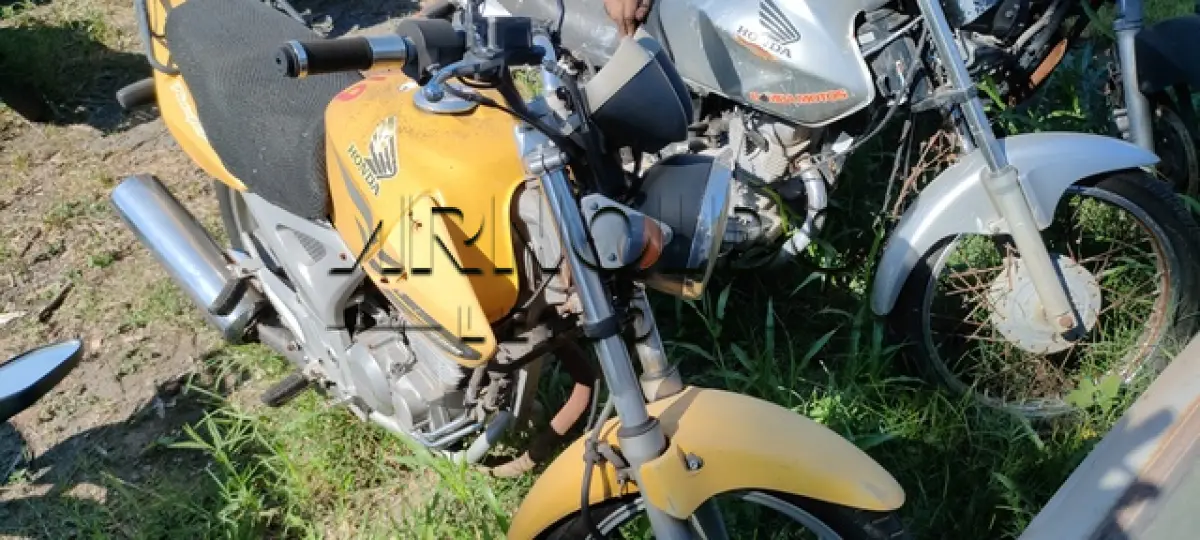 LOTE 0115