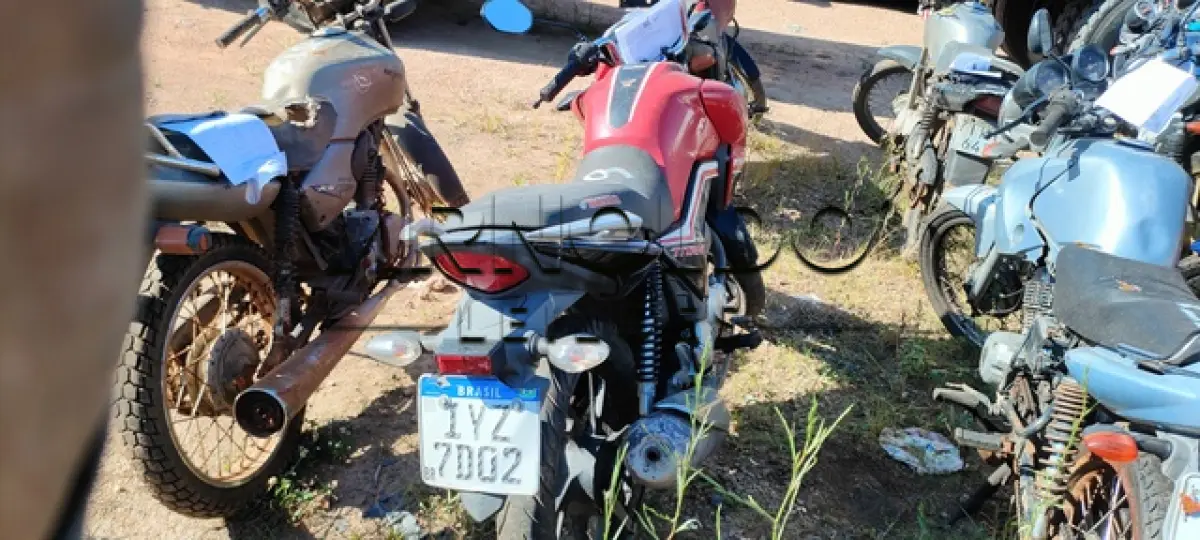 LOTE 0144