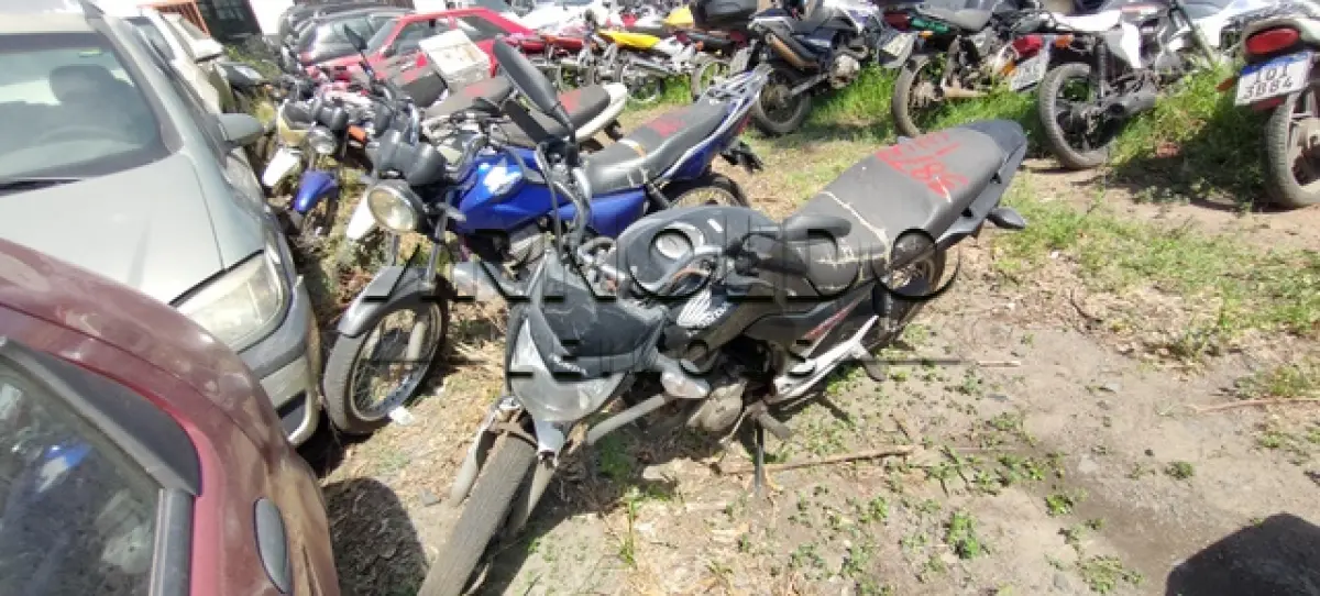 LOTE 0107