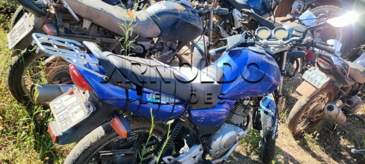 LOTE 0143
