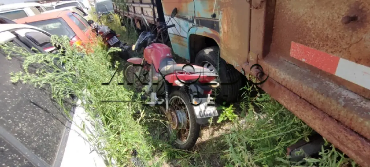 LOTE 0103