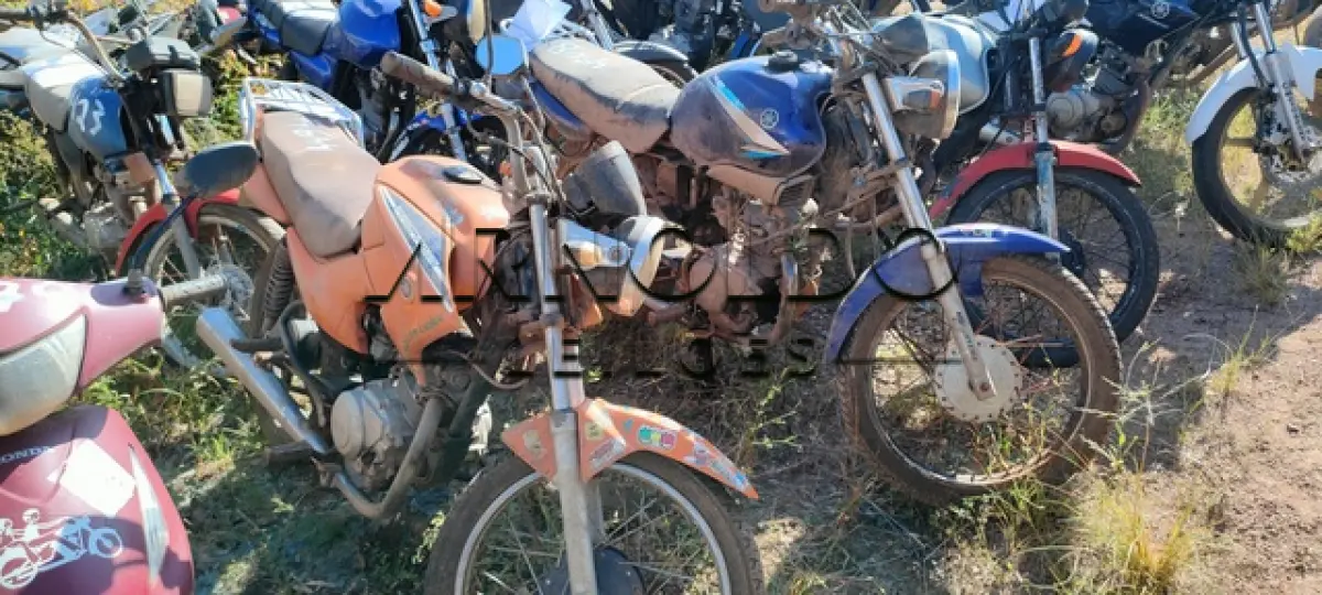 LOTE 0141
