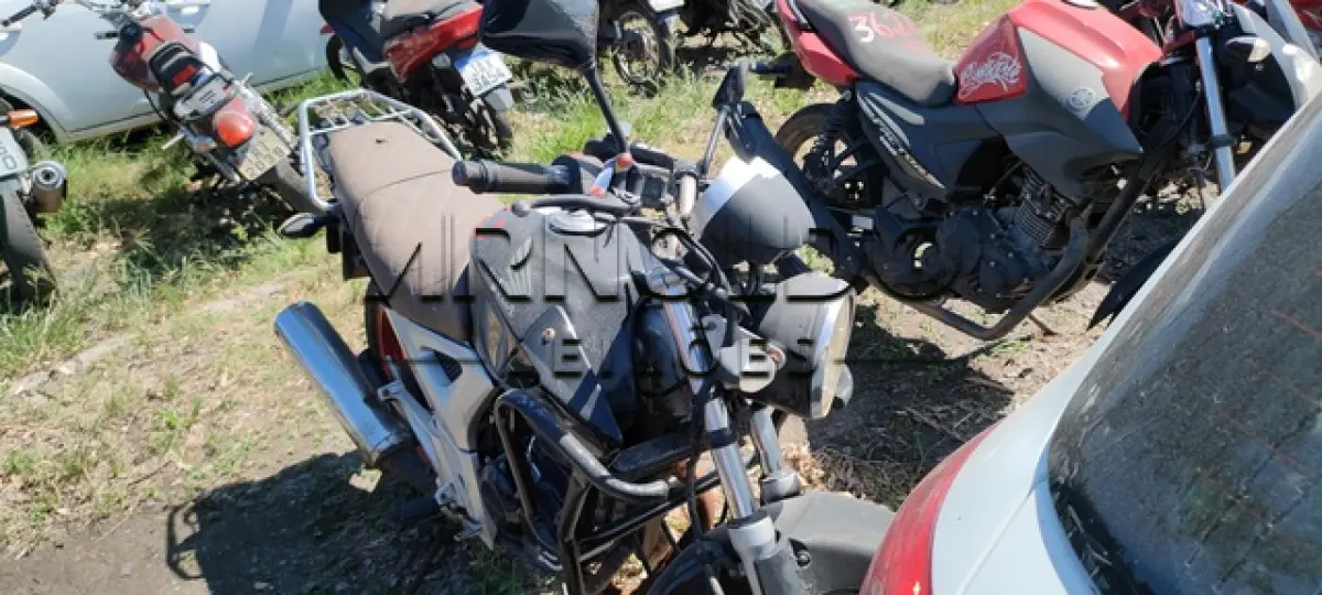 LOTE 0110