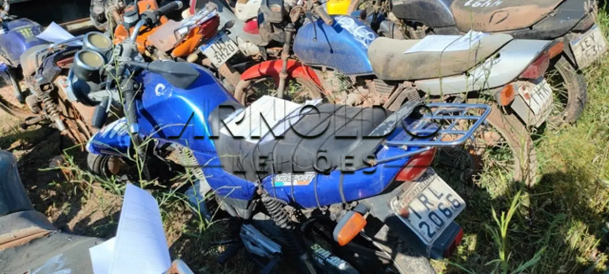 LOTE 0143