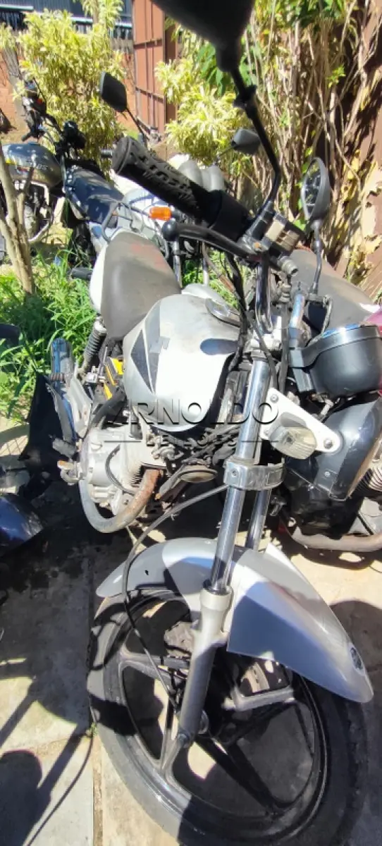 LOTE 0171
