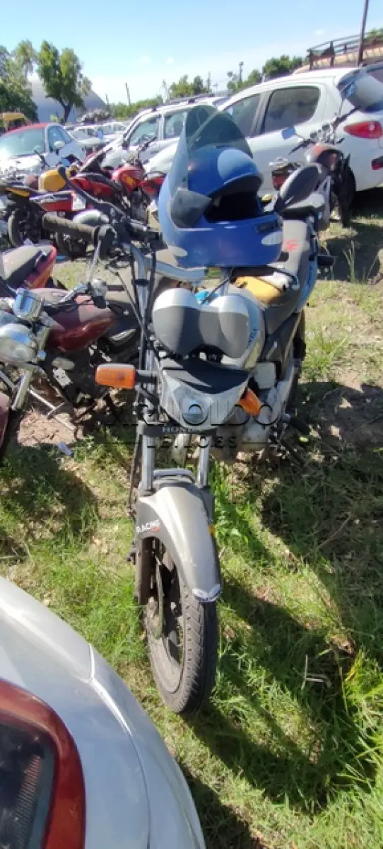 LOTE 0096