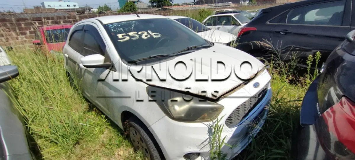 LOTE 0219