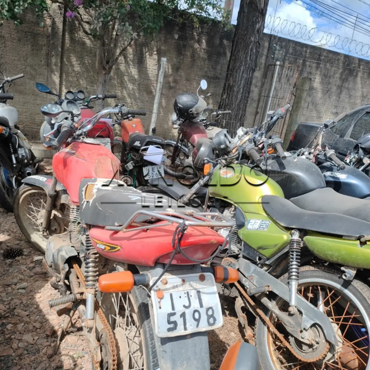 LOTE 0002