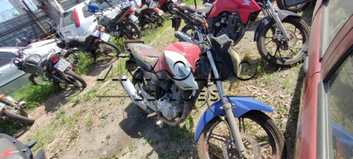 LOTE 0095