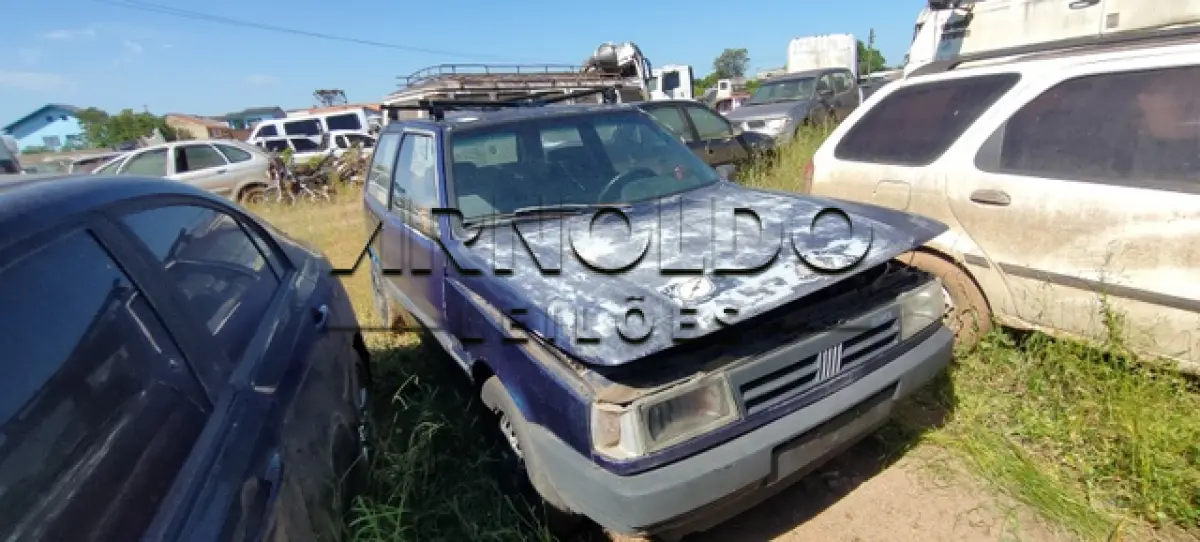 LOTE 0135