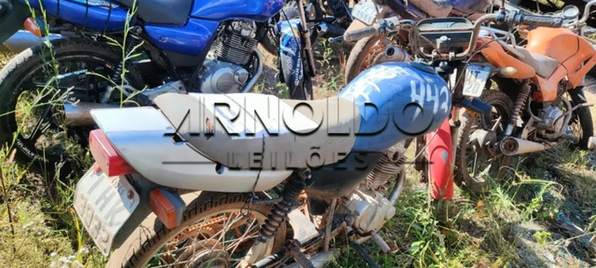 LOTE 0133