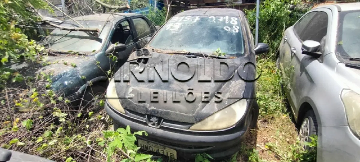 LOTE 0097