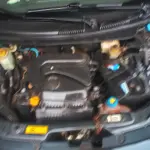 Foto 5