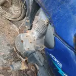 Foto 7