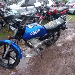 Foto 1