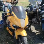 Foto 1