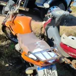 Foto 6