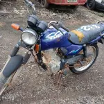 Foto 1