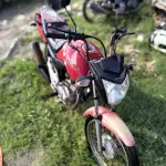 Foto 15